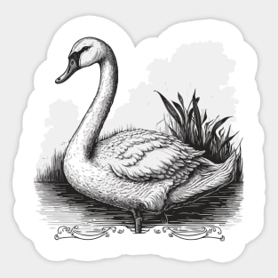 Beautiful Swan Sticker